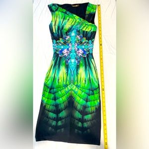 Vintage Roberto Cavalli Dress.